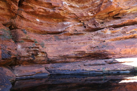 Kings Canyon Day Trip From Ayers Rock - Events Australia 16