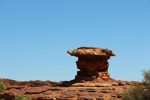 Kings Canyon Day Trip From Ayers Rock - Events Australia 17