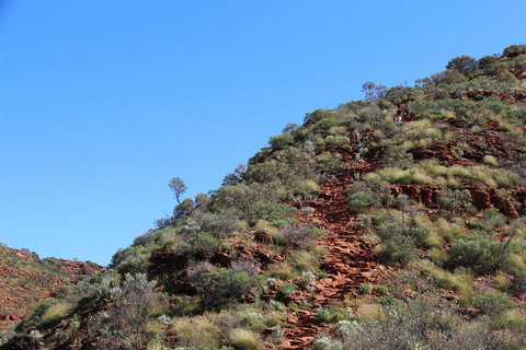 Kings Canyon Day Trip From Ayers Rock - Events Australia 21