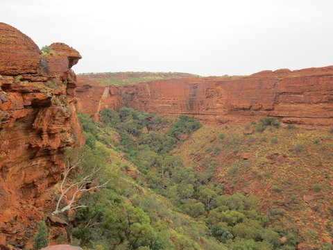 Kings Canyon Day Trip From Ayers Rock - Events Australia 13