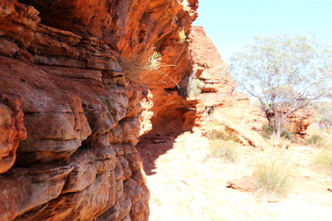 Kings Canyon Day Trip From Ayers Rock - Events Australia 20