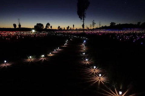 Uluru Field Of Light Sunrise Tour - Events Australia 2