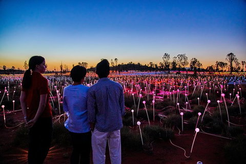 Uluru Field Of Light Sunrise Tour - Events Australia 0