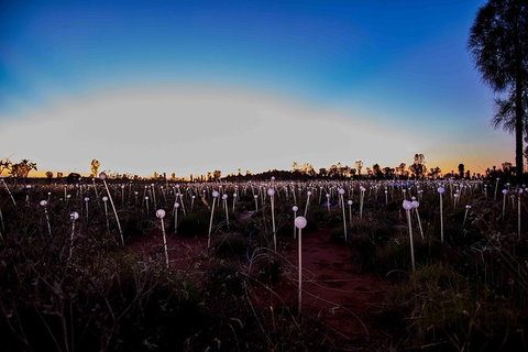Uluru Field Of Light Sunrise Tour - Events Australia 8