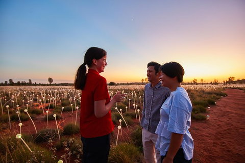 Uluru Field Of Light Sunrise Tour - Events Australia 9