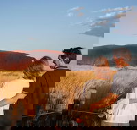Uluru Ayers Rock Sunset with Outback Barbecue Dinner and Star Tour - Events Australia
