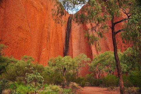 Uluru Sunrise And Guided Base Walk - Events Australia 14