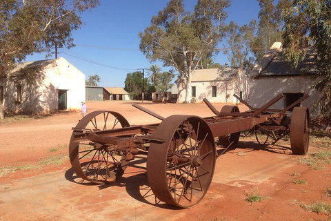 Palm Valley 4WD Tour - Events Australia 1