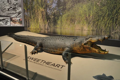 Explore Darwin City Sights Including Key Attractions - Events Australia 7