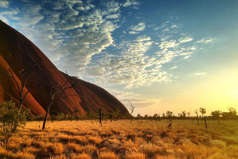 Highlights Of Uluru Including Sunrise And Breakfast - Events Australia 5