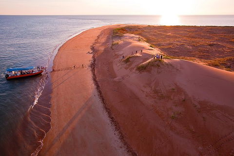 Turtle Tracks Tour To Bare Sand Island From Darwin - Events Australia 1