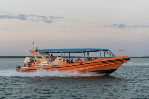 Turtle Tracks Tour To Bare Sand Island From Darwin - Events Australia 5