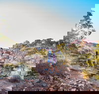 Kings Canyon Guided Rim Walk - Events Australia