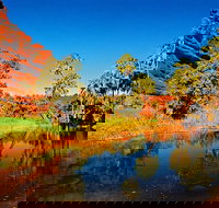 Palm Valley 4WD Day Tour - Events Australia