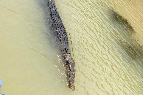Kakadu & Katherine Gorge Full Day Air Tour, Helicopter & Cruise - Tourism Bookings 6