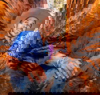 3-Day Red Centre Camping Safari from Alice Springs or Ayers Rock Including Kings Canyon - Events Australia