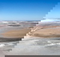 Scenic Flight Lizard Safari - Events Australia