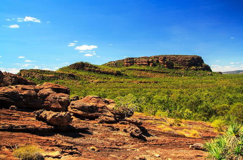 Kakadu, Nourlangie And Yellow Waters Tour From Darwin - Events Australia 34