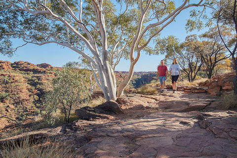Coach Transfer From Kings Canyon To Alice Springs - Events Australia 8