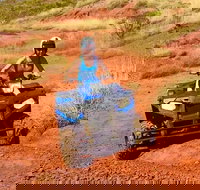 Aussie Outback Air and Land Tour Including Quad Bike Ride - Events Australia