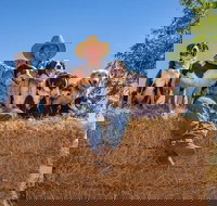 Skip-the-Line Katherine Outback Experience Show Ticket - Events Australia