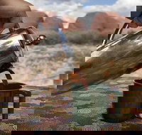 Kata Tjuta Small-Group Tour Including Sunrise and Breakfast - Events Australia