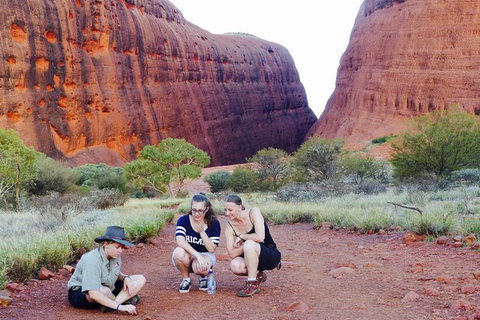 Afternoon Kata Tjuta Small Group Tour - Events Australia 7