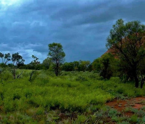 3-Day Ayers Rock To Alice Springs Camping Tour Including Kings Canyon, Kata Tjuta And Uluru - Events Australia 11