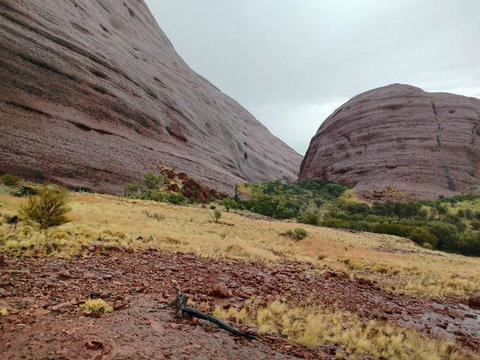 3-Day Ayers Rock To Alice Springs Camping Tour Including Kings Canyon, Kata Tjuta And Uluru - Events Australia 4