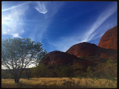 3-Day Ayers Rock To Alice Springs Camping Tour Including Kings Canyon, Kata Tjuta And Uluru - Events Australia 14