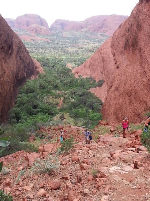 3-Day Ayers Rock To Alice Springs Camping Tour Including Kings Canyon, Kata Tjuta And Uluru - Events Australia 7