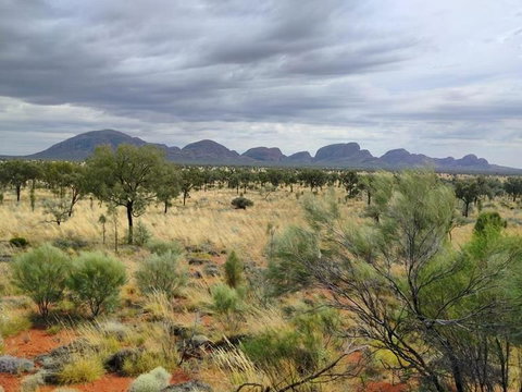 3-Day Ayers Rock To Alice Springs Camping Tour Including Kings Canyon, Kata Tjuta And Uluru - Events Australia 5