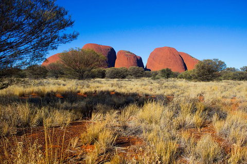 Ayers Rock 4 Tour Combo: Complete Uluru Base Walk At Sunrise, Valley Of The Winds At Sunrise, Kata Tjuta Sunset And Uluru Sunset - Events Australia 12