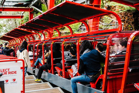 All-Inclusive Blue Mountains Day Trip With River Cruise - Events Australia 7