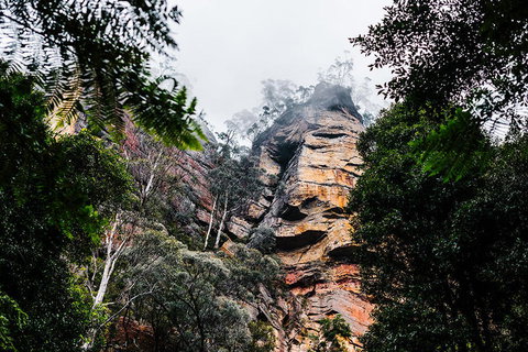 All-Inclusive Blue Mountains Day Trip With River Cruise - Events Australia 3
