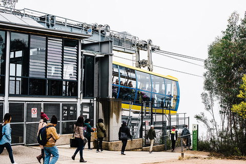 All-Inclusive Blue Mountains Day Trip With River Cruise - Events Australia 9