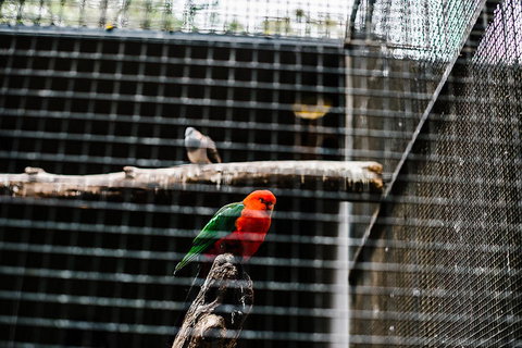 All-Inclusive Blue Mountains Day Trip With River Cruise - Events Australia 17