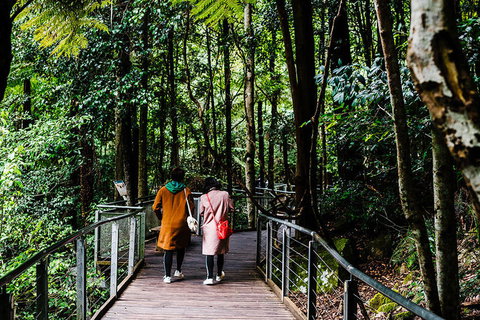 All-Inclusive Blue Mountains Day Trip With River Cruise - Events Australia 10