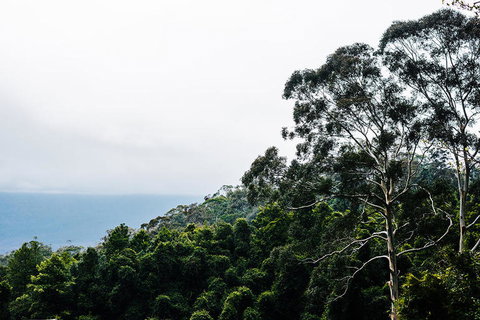 All-Inclusive Blue Mountains Day Trip With River Cruise - Events Australia 18