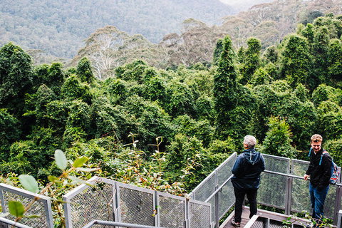 All-Inclusive Blue Mountains Day Trip With River Cruise - Events Australia 2