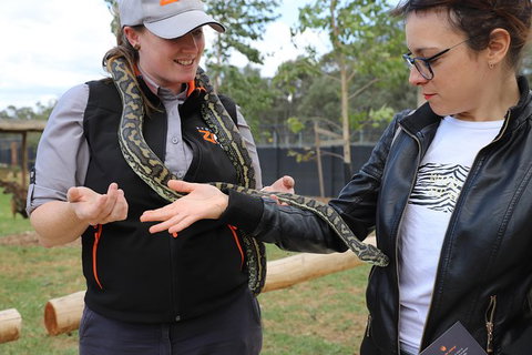 All-Inclusive Blue Mountains Day Trip With River Cruise - Events Australia 37