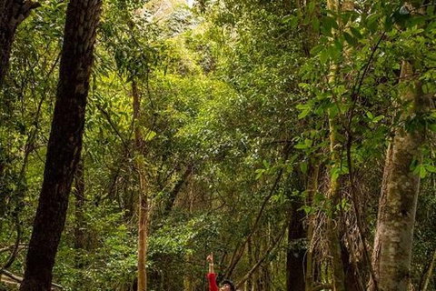 All-Inclusive Blue Mountains Day Trip With River Cruise - Events Australia 26