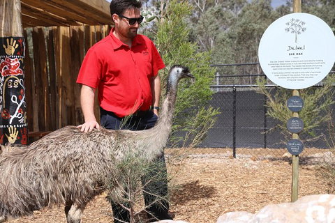 All-Inclusive Blue Mountains Day Trip With River Cruise - Events Australia 24