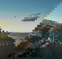 All-Inclusive Blue Mountains Tour in a Luxury Mercedes Sprinter