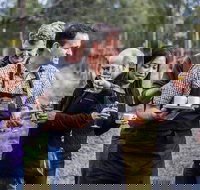 Day Trip with Chef-Led Hunter Valley Gourmet Food and Wine from Sydney