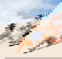 Port Stephens Day Tour with Dolphin Watching Sandboarding  Australian Wildlife