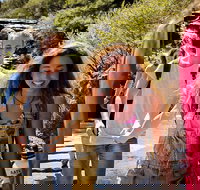 Blue Mountains Nature and Wildlife Day Tour from Sydney