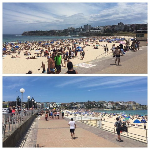 Morning Or Afternoon Half-Day Sydney City Sightseeing Tour - Events Australia 2