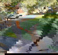 Sydney Private Day Tours - Central Coast Beaches Plus Wildlife  Reptile Park