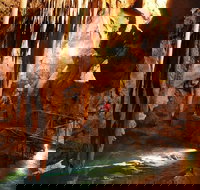 Jenolan Caves and Blue Mountains Tour from Sydney